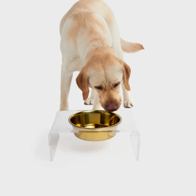 Clear Single Dog Bowl Feeder