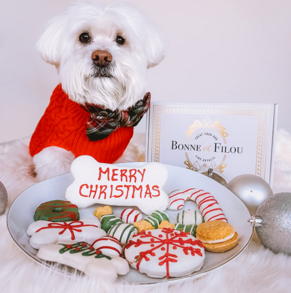 Affordable Dog Treats Christmas Gift Box | Le Pet Luxe