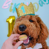 Happy Birthday Dog Treats Gift Box | Le Pet Luxe