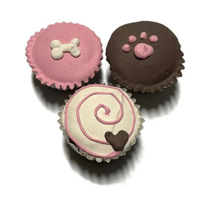 Buy Spring Mini Cupcake Boxes | Le Pet Luxe