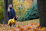 Visibility Raincoat ~ Yellow - Le Pet Luxe