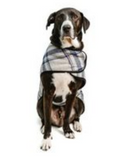 Grey/Blue Plaid Dog Blanket Coat - Le Pet Luxe