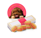 Rose Dog Macaron Box | Le Pet Luxe
