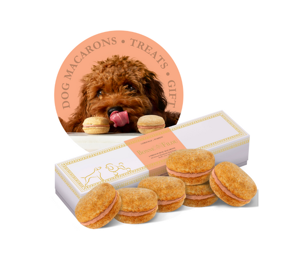 Affordable Pumpkin Boxes Dog Macarons (Box Of 6)