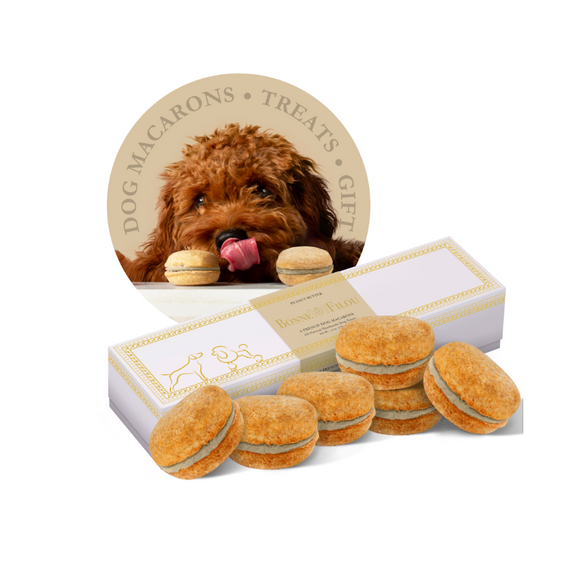 Buy Peanut Butter Box Dog Macarons | Le Pet Luxe
