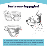 QUMY Small Dog Goggles UV