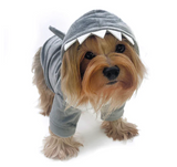  Shark Hoodie with Fin & Teeth | Le Pet Luxe