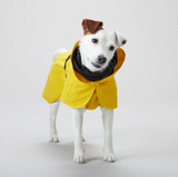 Visibility Raincoat - Yellow