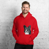 Unisex Red Hoodie | Le Pet Luxe