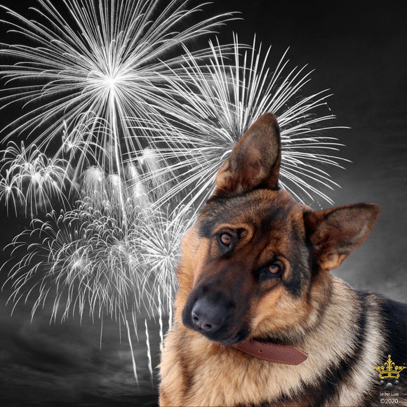 Keep Your Pets Safe For The New Year!