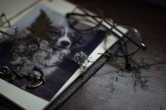 Thoughtful Ways to Keep Your Pet’s Memory Alive