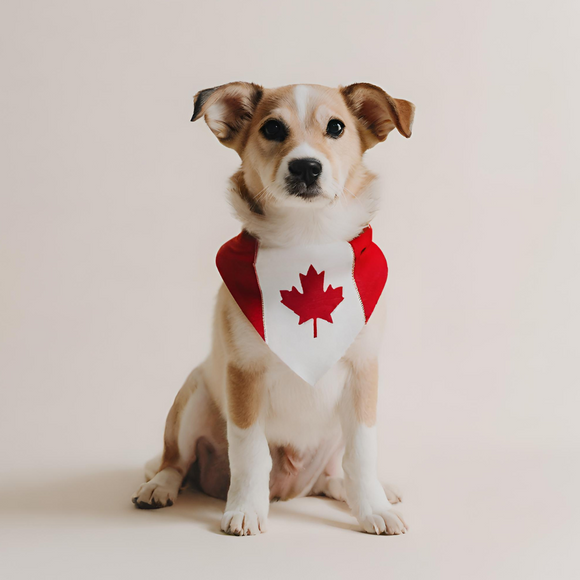 Le Pet Luxe ships certain products to Canada