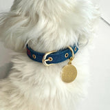 Personalized Collar