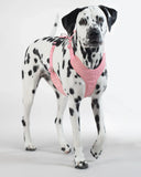 Visibility Harness Pink for Dogs