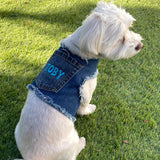 Personalized Denim Harness