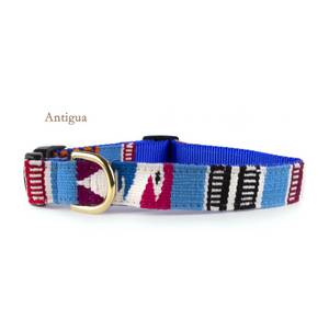 A tail we could wag Side-Release Dog Collar - Antigua