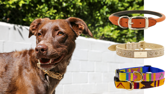 We supply a wide variety of high-quality and stylish pet products. —  petlucks