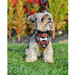 Halloween Bandana - Black Spider Web