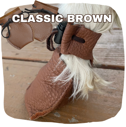 1 Pair of Dog Mocs (Sold in pairs) - Classic Brown