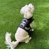 Top Pups of Anarchy Pet Gear