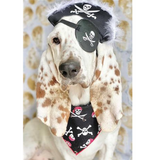 Halloween Bandana - Jolly Roger Skull