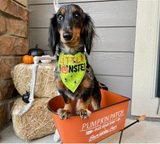 Halloween Bandana - Little Monster