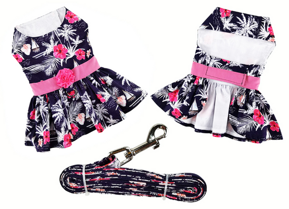 Top Moonlight Sails Dog Dress with Matching Leash
