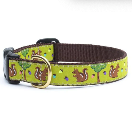 Nuts Dog Collar