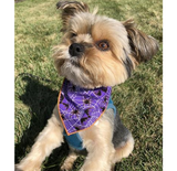 Halloween Bandana - Purple Spiders