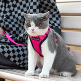 Mr. Peanut's PurrTrek Reflective Cat Harness with Matching Leash