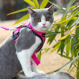 Mr. Peanut's PurrTrek Reflective Cat Harness with Matching Leash