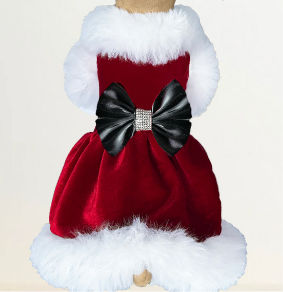 Santa Baby Dog Dress