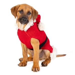 Santa Dog Sweater