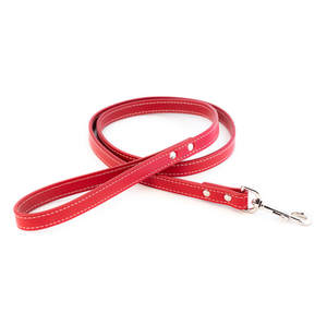 Dover Court Leash ~ Red