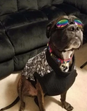 QUMY Dog Sunglasses - Black