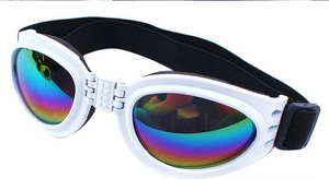 QUMY Dog Sunglasses - White