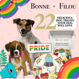 Pride Themed Dog Treats Gift Box