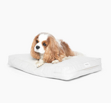Pet Cushion | Options