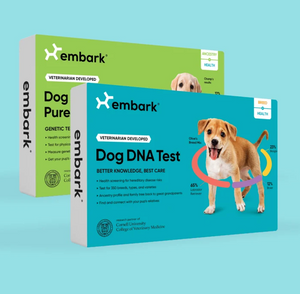 DNA Test for Purebred & Mix Breed Dogs - Bundle and save