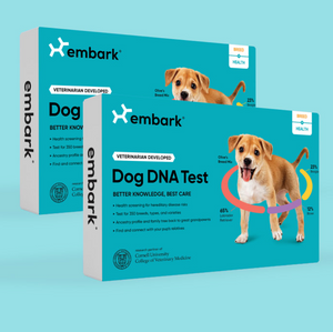 DNA Test for Dog Breed + Health Test - Bundle and save