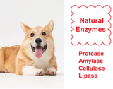 Naturals Enzymatic Stain and Odor Remover, Professional Grade, Biodegradable, Removes Stains & Odors from Pet Urine & Feces, Wine, Ink, Dye & Smoke