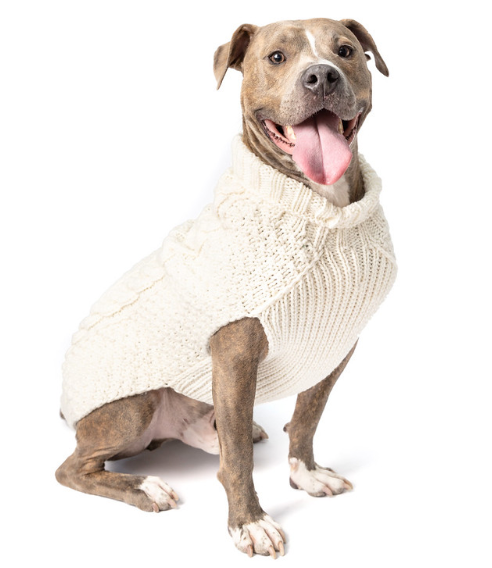 Cable knits ~ Natural Cable Wool Dog Sweater