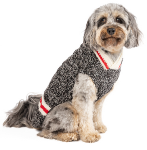 Boyfriend Dog Sweater