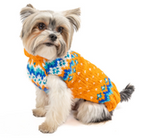 Artic Amber Sweater for Dogs | Le Pet Luxe