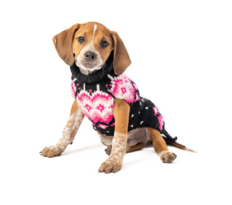 Artic Pink Dog Sweater