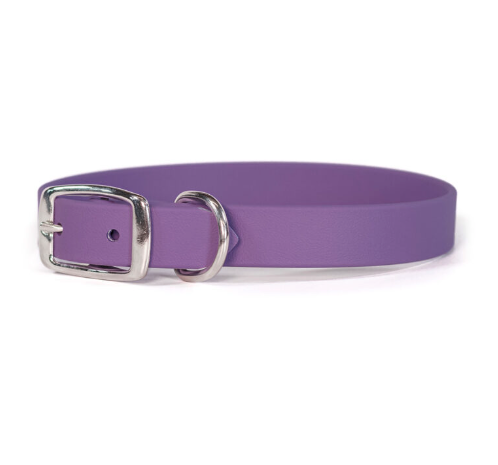 Sparky’s Choice Standard Buckle Collar - Lilac