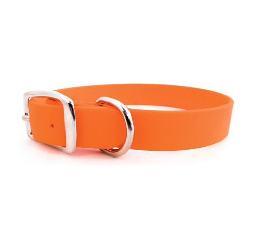 Sparky’s Choice Standard Buckle Collar - Orange