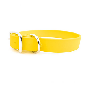 Sparky’s Choice Standard Buckle Collar 💛New color Yellow💛