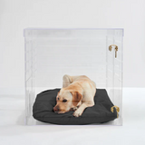 Clear Dog Crate to Gate | Large