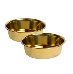 Stainless Steel Pet Bowl, Set of 2 - Gold